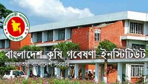 BARI job circular 2016